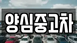 양심중고차
