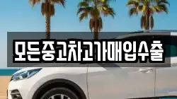 모든중고차고가매입수출