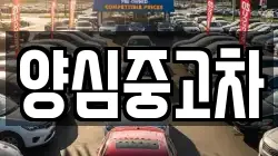 양심중고차