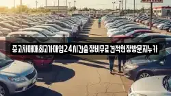 중고차매매최고가매입24시간출장비무료견적현장방문지누카