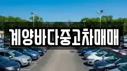 계양바다중고차매매