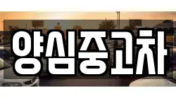양심중고차