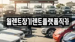 월렌트장기렌트플랫폼직카