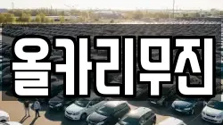 올카리무진