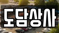 도담상사