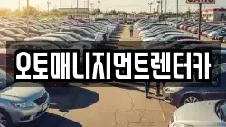오토매니지먼트렌터카