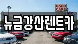 뉴금강산렌트카