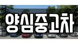 양심중고차