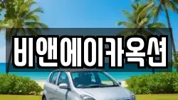 비앤에이카옥션