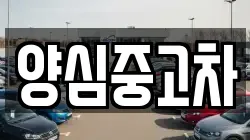 양심중고차