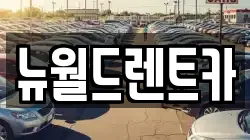 뉴월드렌트카