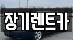 장기렌트카