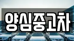 양심중고차