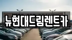 뉴현대드림렌트카