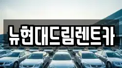 뉴현대드림렌트카