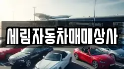 세림자동차매매상사