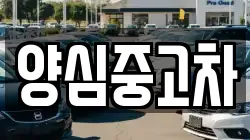 양심중고차