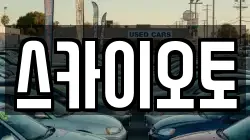 스카이오토