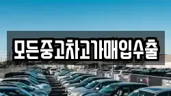 모든중고차고가매입수출