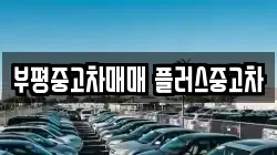 부평중고차매매 플러스중고차