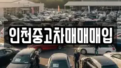 인천중고차매매매입