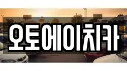 오토에이치카