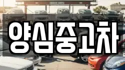 양심중고차