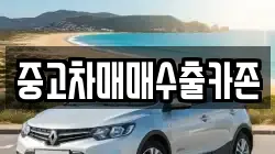 중고차매매수출카존