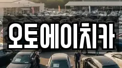 오토에이치카