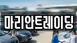 마리안트레이딩