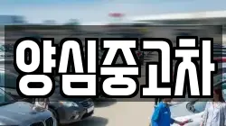 양심중고차