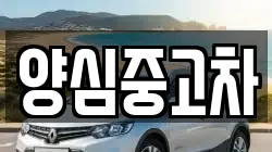 양심중고차