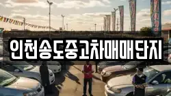인천송도중고차매매단지