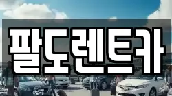 팔도렌트카