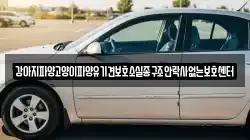 강아지파양고양이파양유기견보호소실종구조안락사없는보호센터