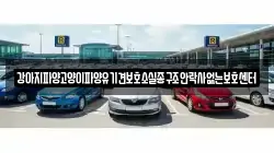 강아지파양고양이파양유기견보호소실종구조안락사없는보호센터