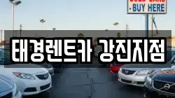 전남 강진군 렌트카,단기렌트카,장기렌트카,중고차,중고차매매,중고차매입