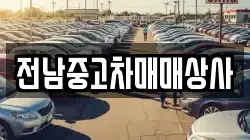 전남 고흥군 금산면 렌트카,단기렌트카,장기렌트카,중고차,중고차매매,중고차매입