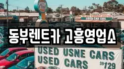 전남 고흥군 도양읍 렌트카,단기렌트카,장기렌트카,중고차,중고차매매,중고차매입