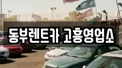 전남 고흥군 렌트카,단기렌트카,장기렌트카,중고차,중고차매매,중고차매입