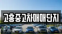 고흥중고차매매단지