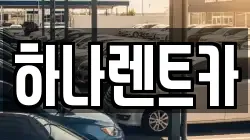 전남 고흥군 풍양면 렌트카,단기렌트카,장기렌트카,중고차,중고차매매,중고차매입