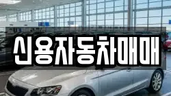 전남 곡성군 렌트카,단기렌트카,장기렌트카,중고차,중고차매매,중고차매입