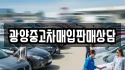 광양중고차매입판매상담