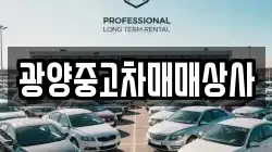 광양중고차매매상사