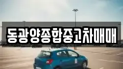 동광양종합중고차매매