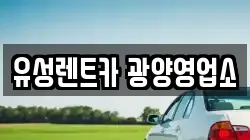 전남 광양시 봉강면 렌트카,단기렌트카,장기렌트카,중고차,중고차매매,중고차매입