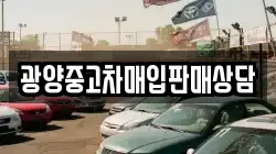 광양중고차매입판매상담