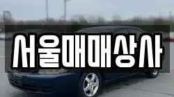 서울매매상사