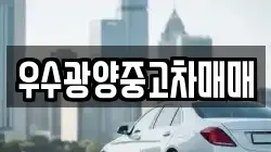 우수광양중고차매매
